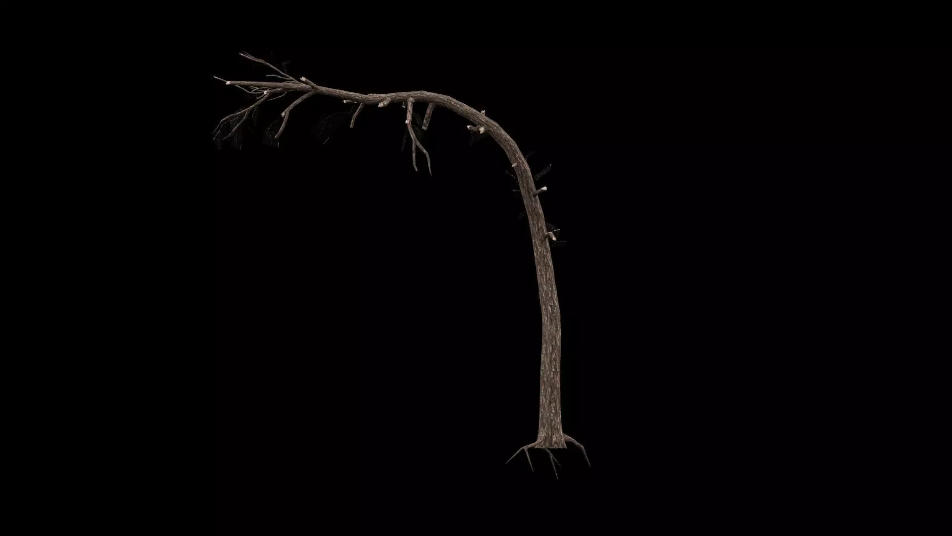 Dead Tree Low-poly 3D model_5