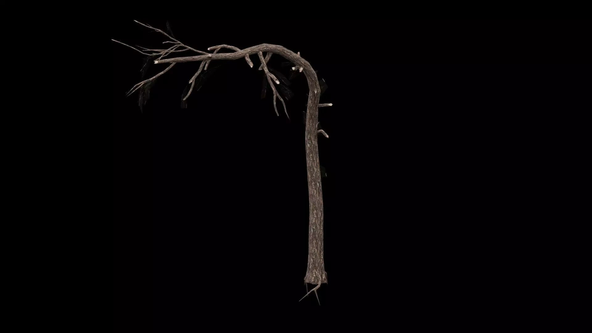 Dead Tree Low-poly 3D model_1