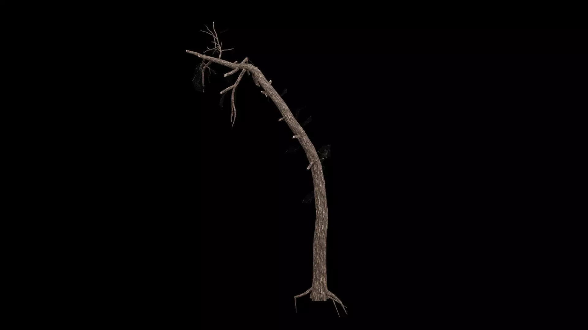 Dead Tree Low-poly 3D model_4