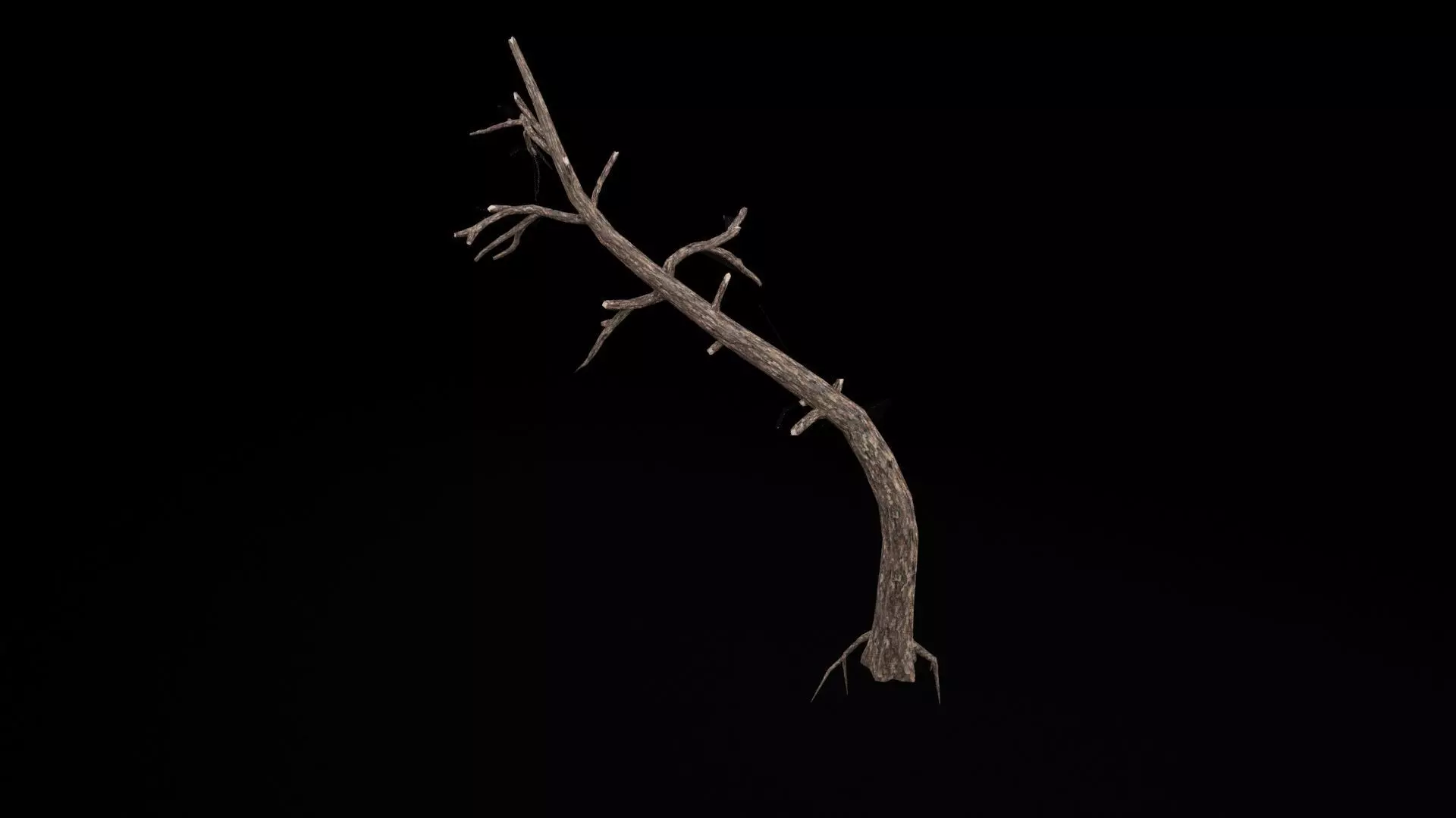 Dead Tree Low-poly 3D model_6