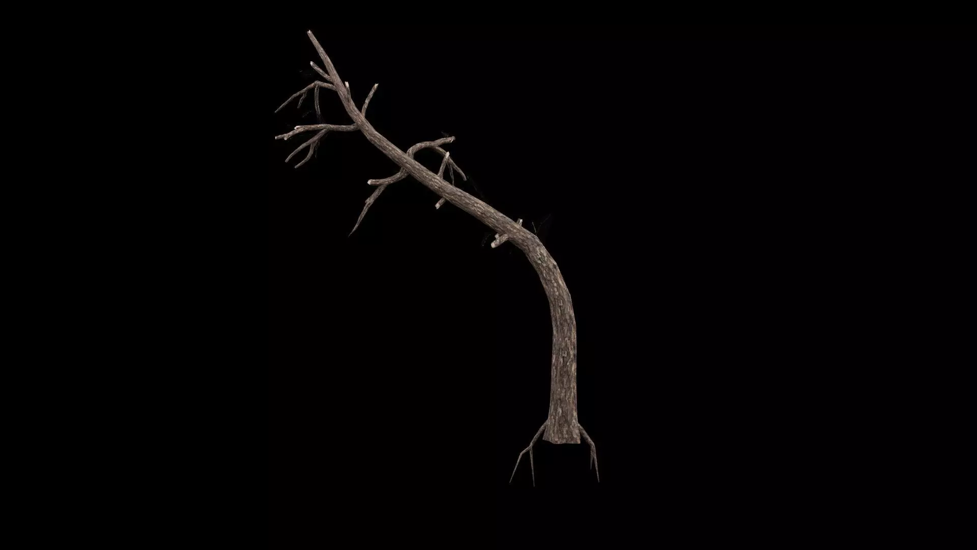 Dead Tree Low-poly 3D model_2