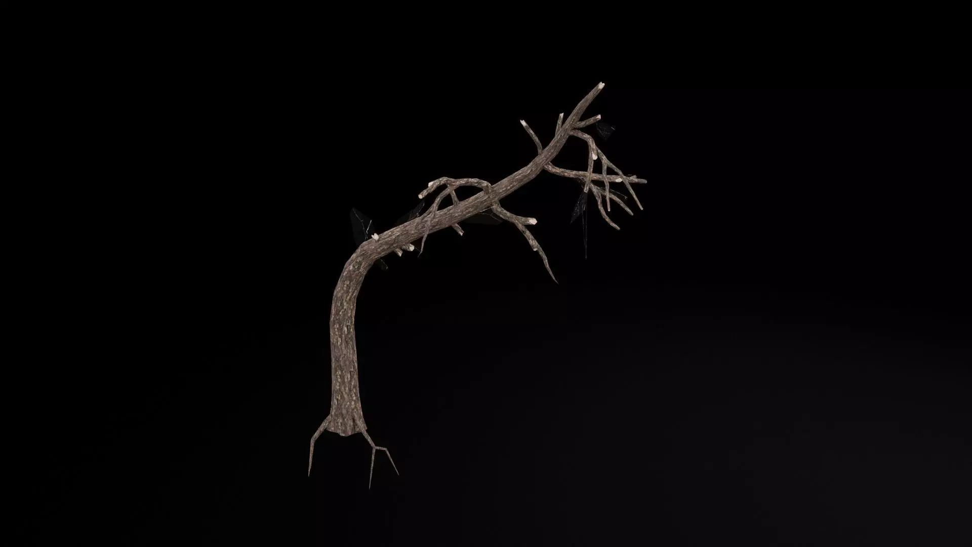 Dead Tree Low-poly 3D model_7