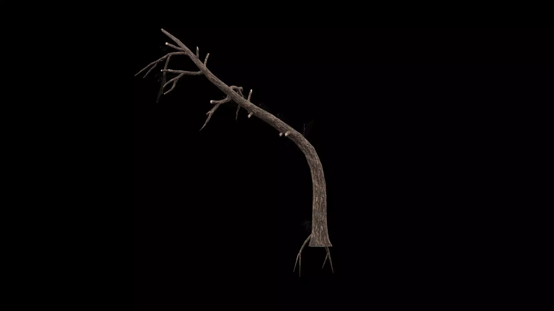 Dead Tree Low-poly 3D model_5