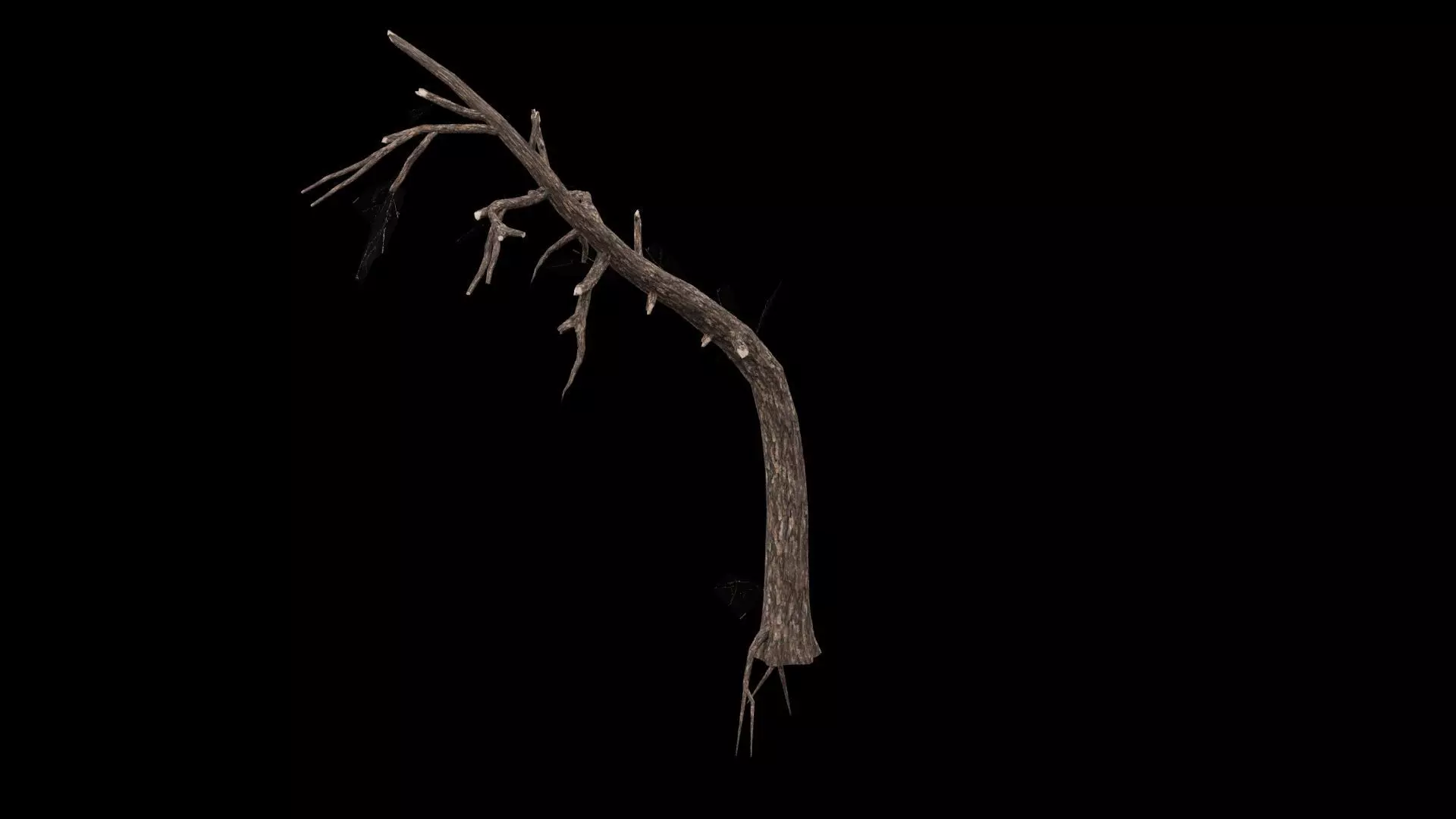 Dead Tree Low-poly 3D model_1