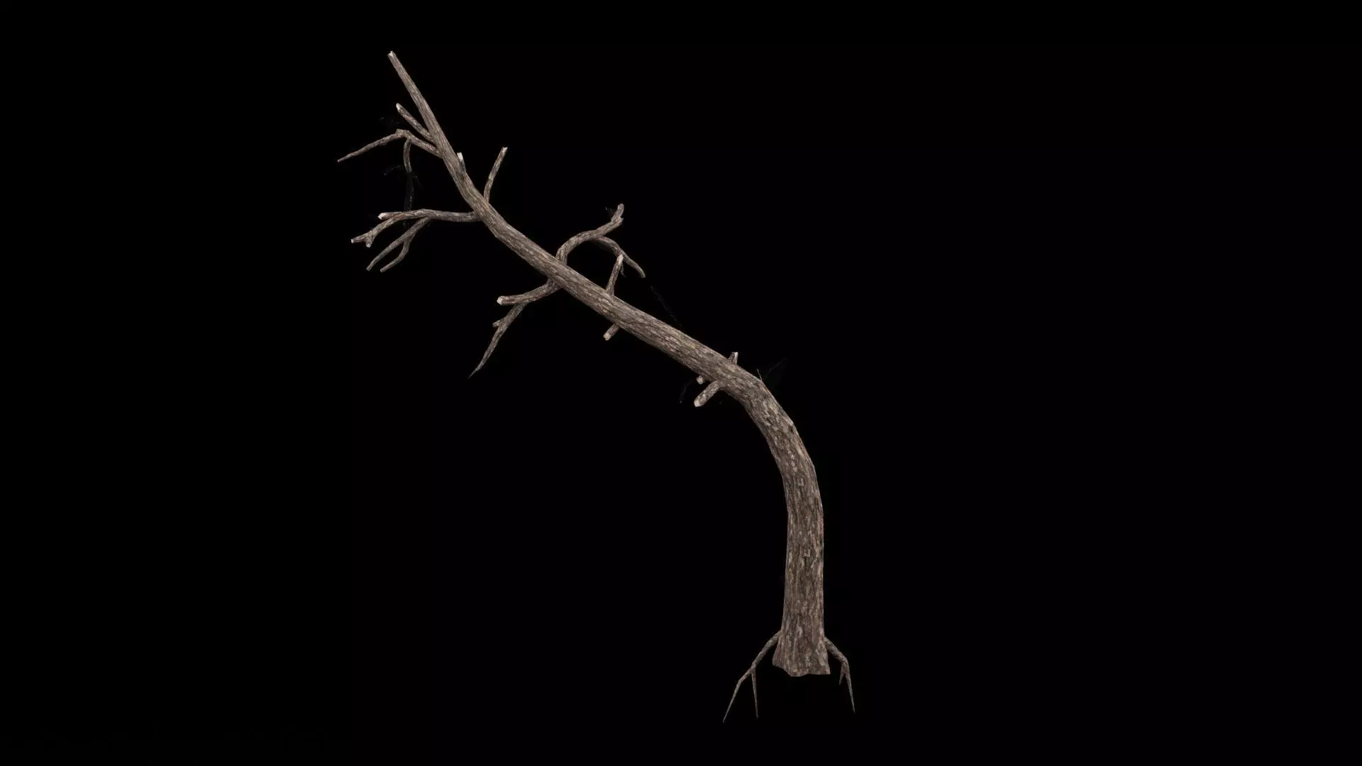 Dead Tree Low-poly 3D model_0