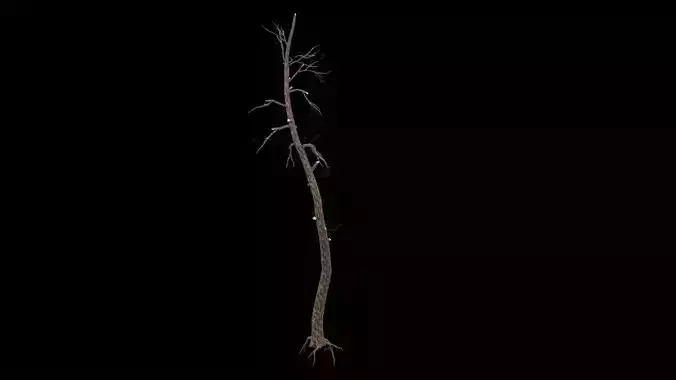 Dead Tree