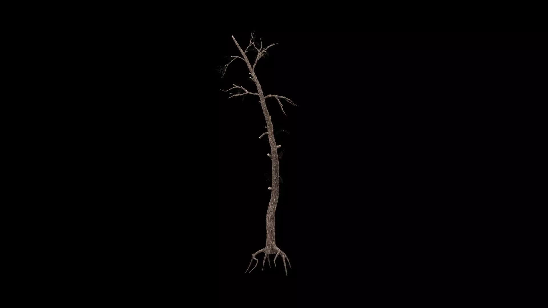 Dead Tree Low-poly 3D model_1