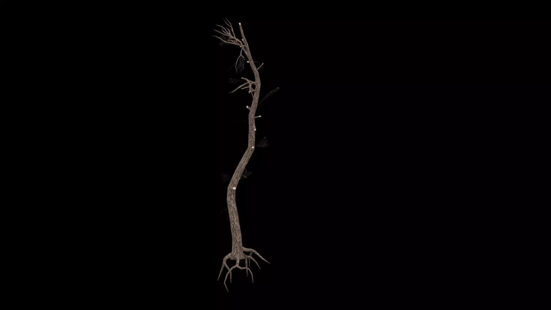 Dead Tree Low-poly 3D model_3