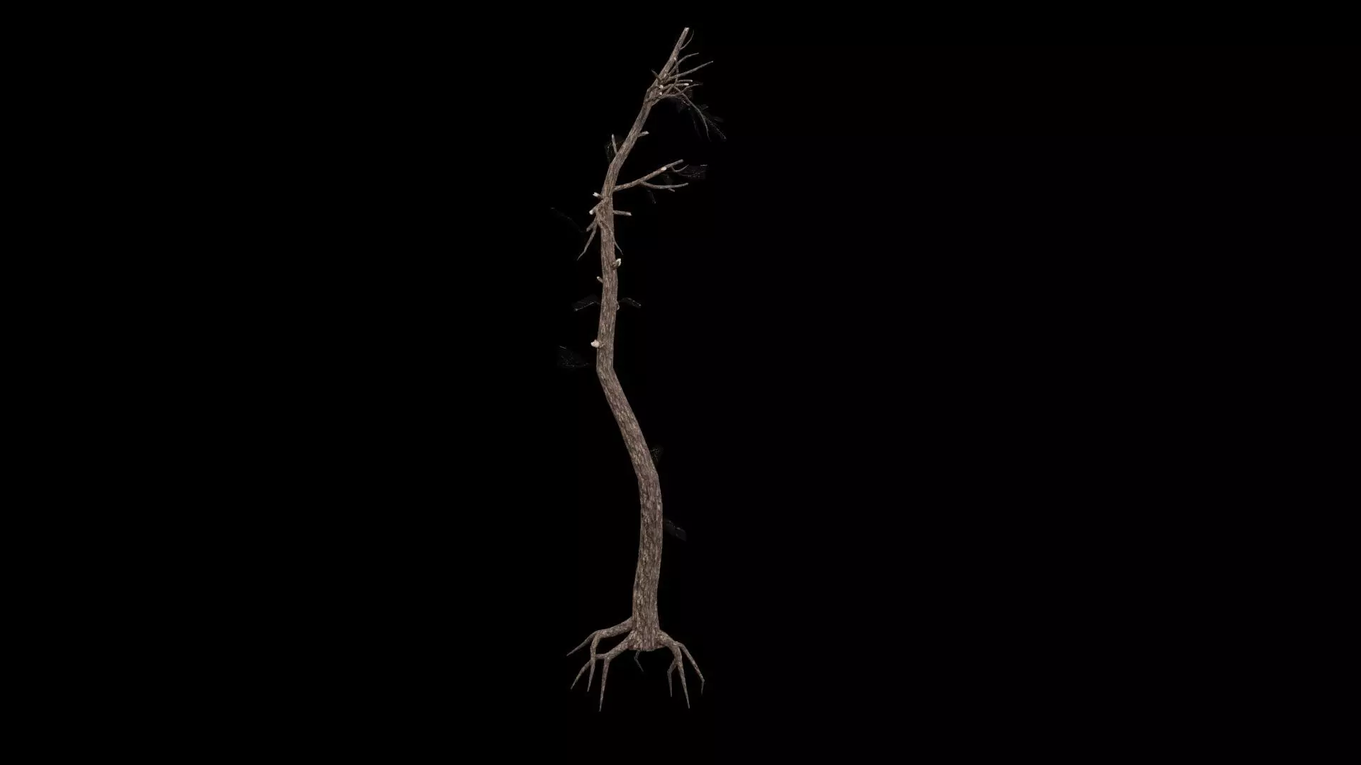 Dead Tree Low-poly 3D model_4