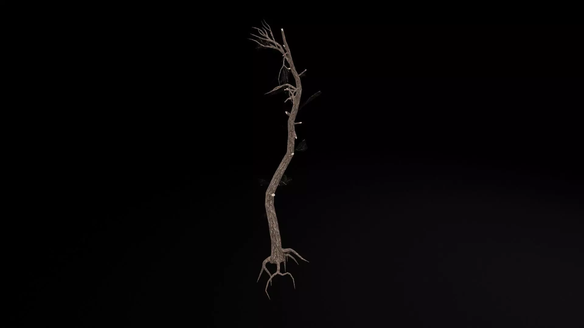 Dead Tree Low-poly 3D model_7