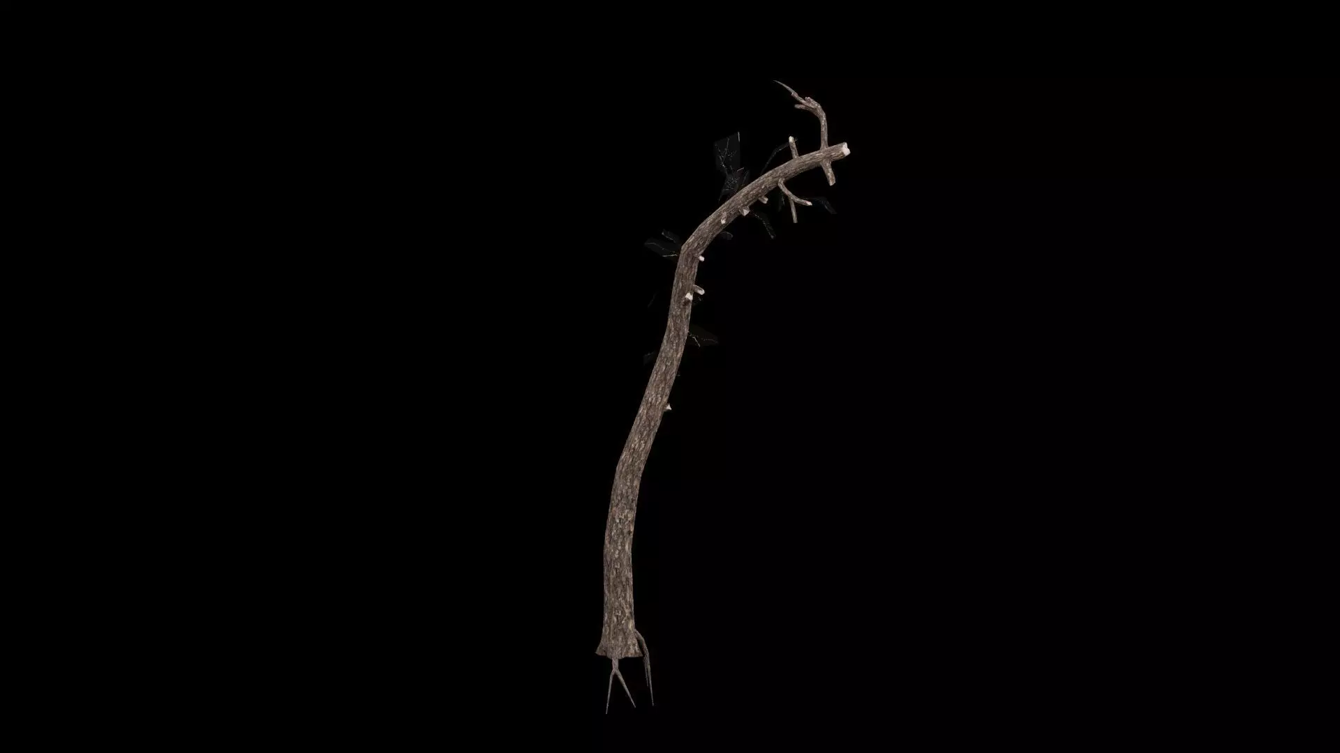 Realistic Tree Low-poly 3D model_4