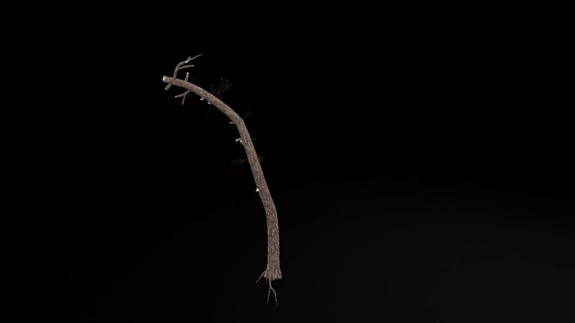 Realistic Tree Low-poly 3D model_7