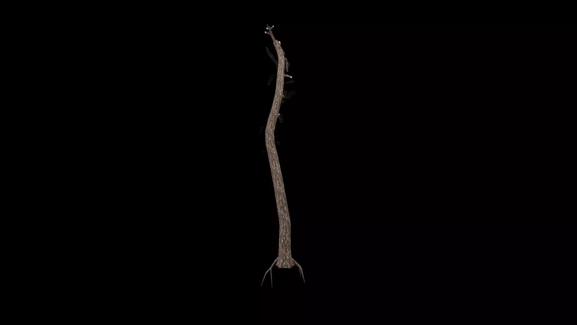 Realistic Tree Low-poly 3D model_1