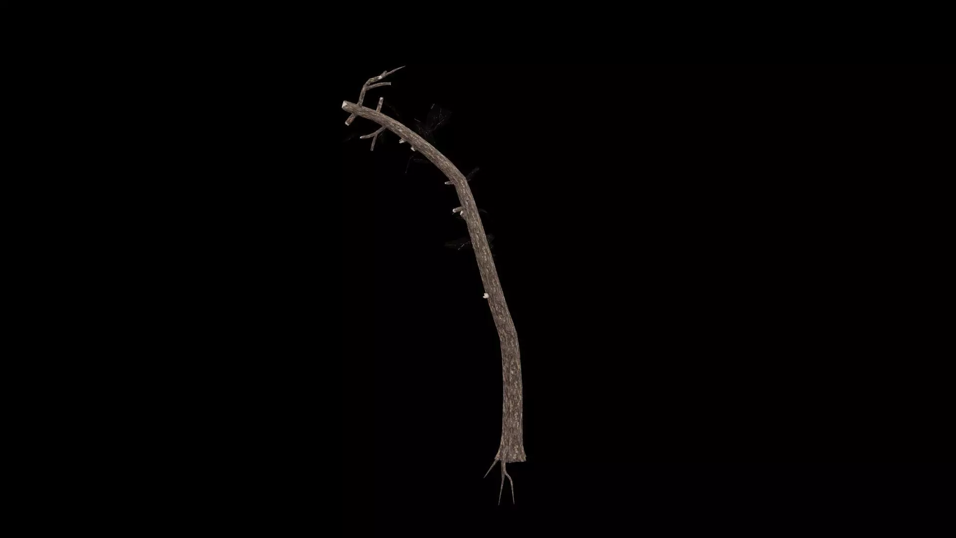 Realistic Tree Low-poly 3D model_3