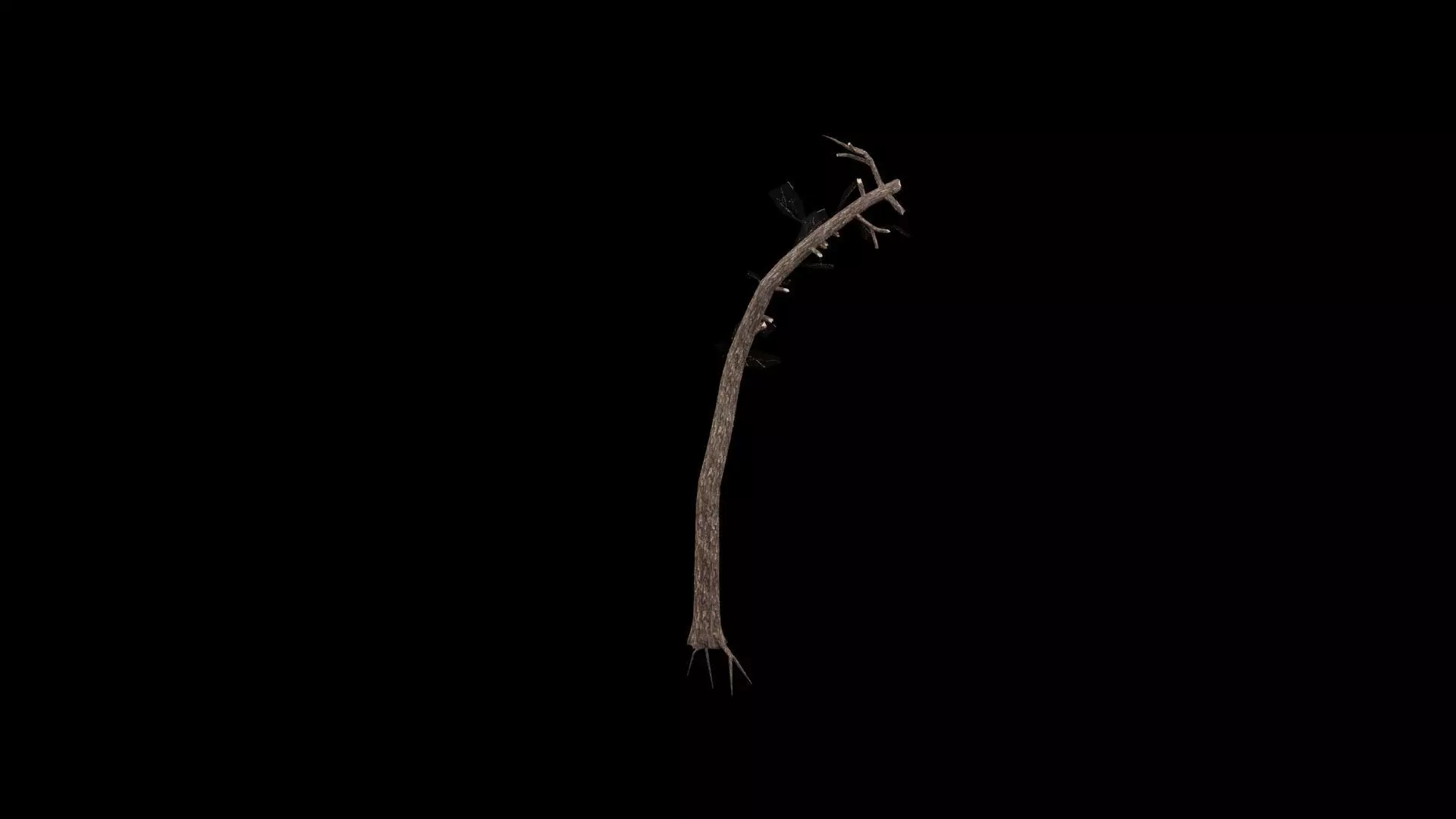 Realistic Tree Low-poly 3D model_2