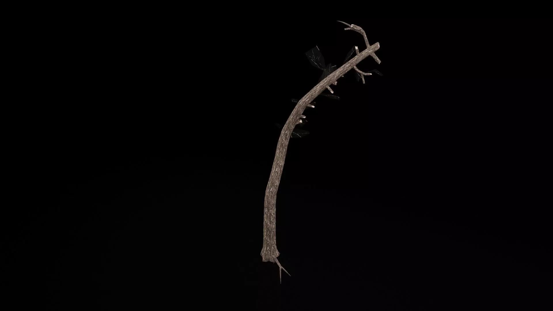 Realistic Tree Low-poly 3D model_6