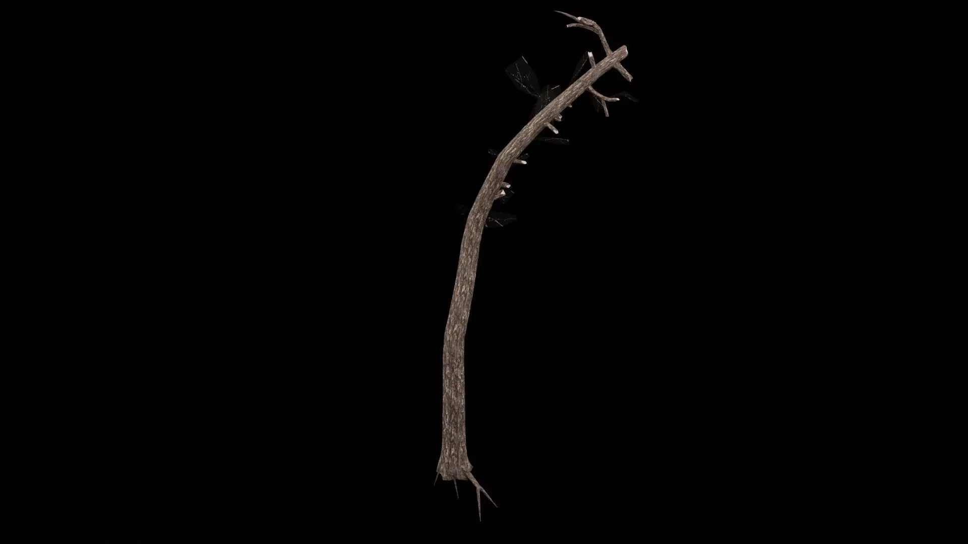 Realistic Tree Low-poly 3D model_0