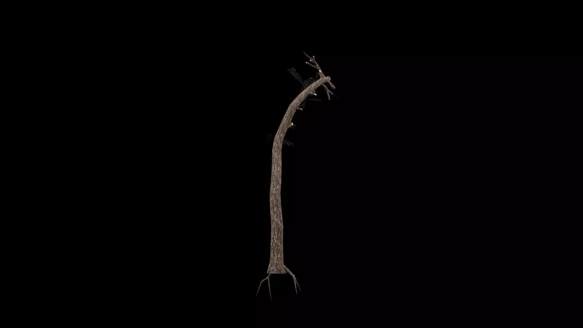 Realistic Tree Low-poly 3D model_5