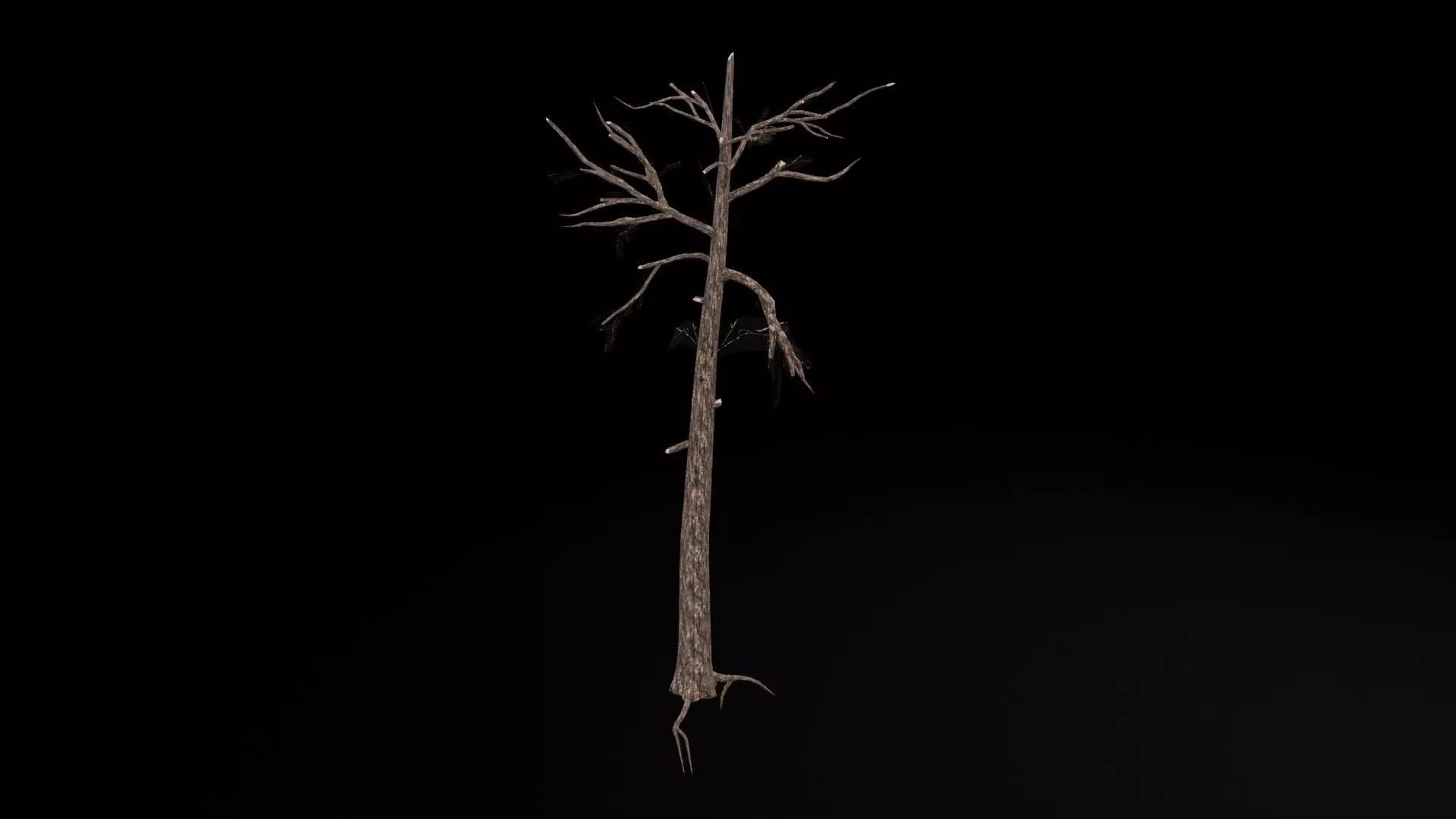 Realistic Tree Low-poly 3D model_7