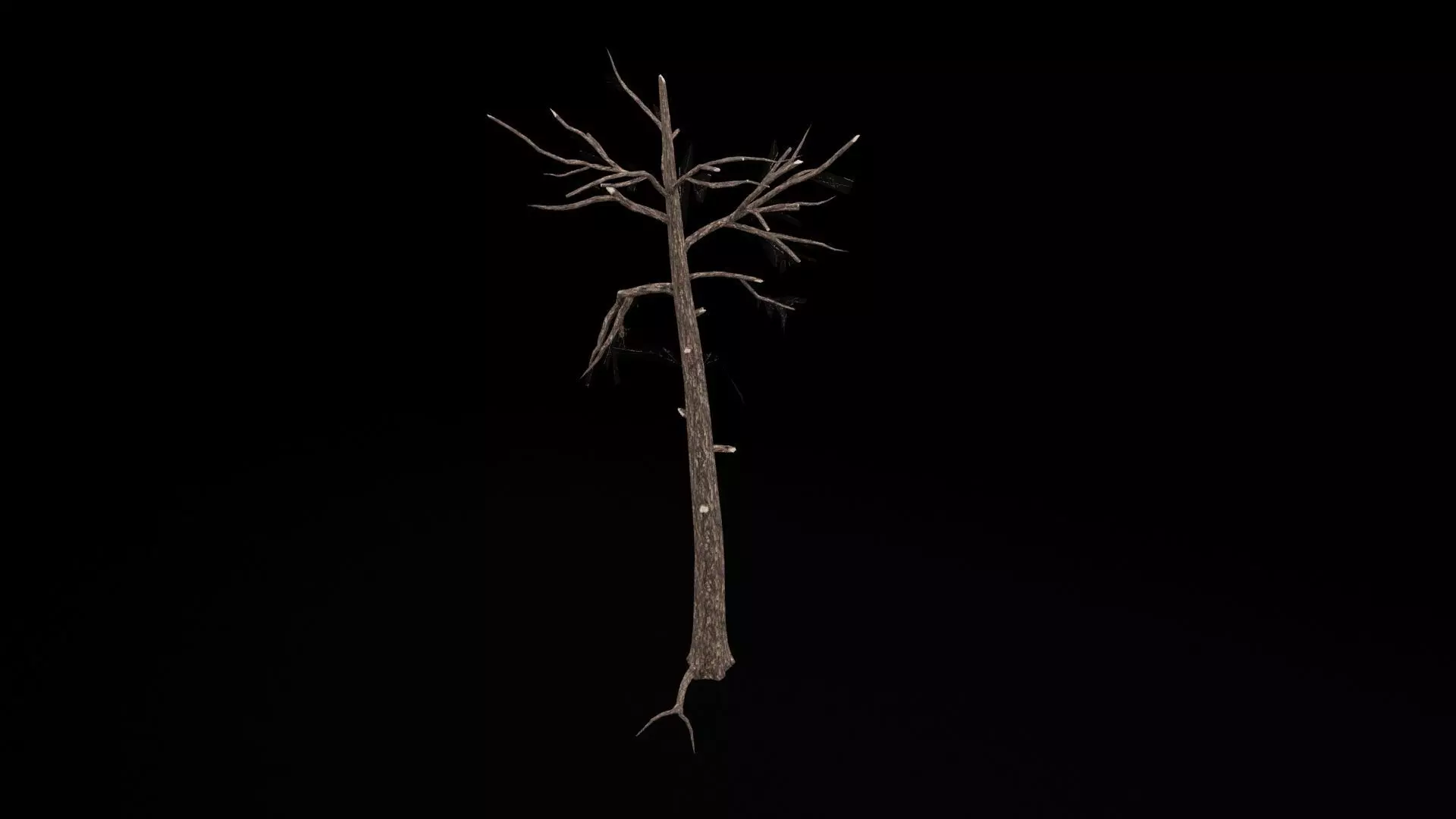 Realistic Tree Low-poly 3D model_6