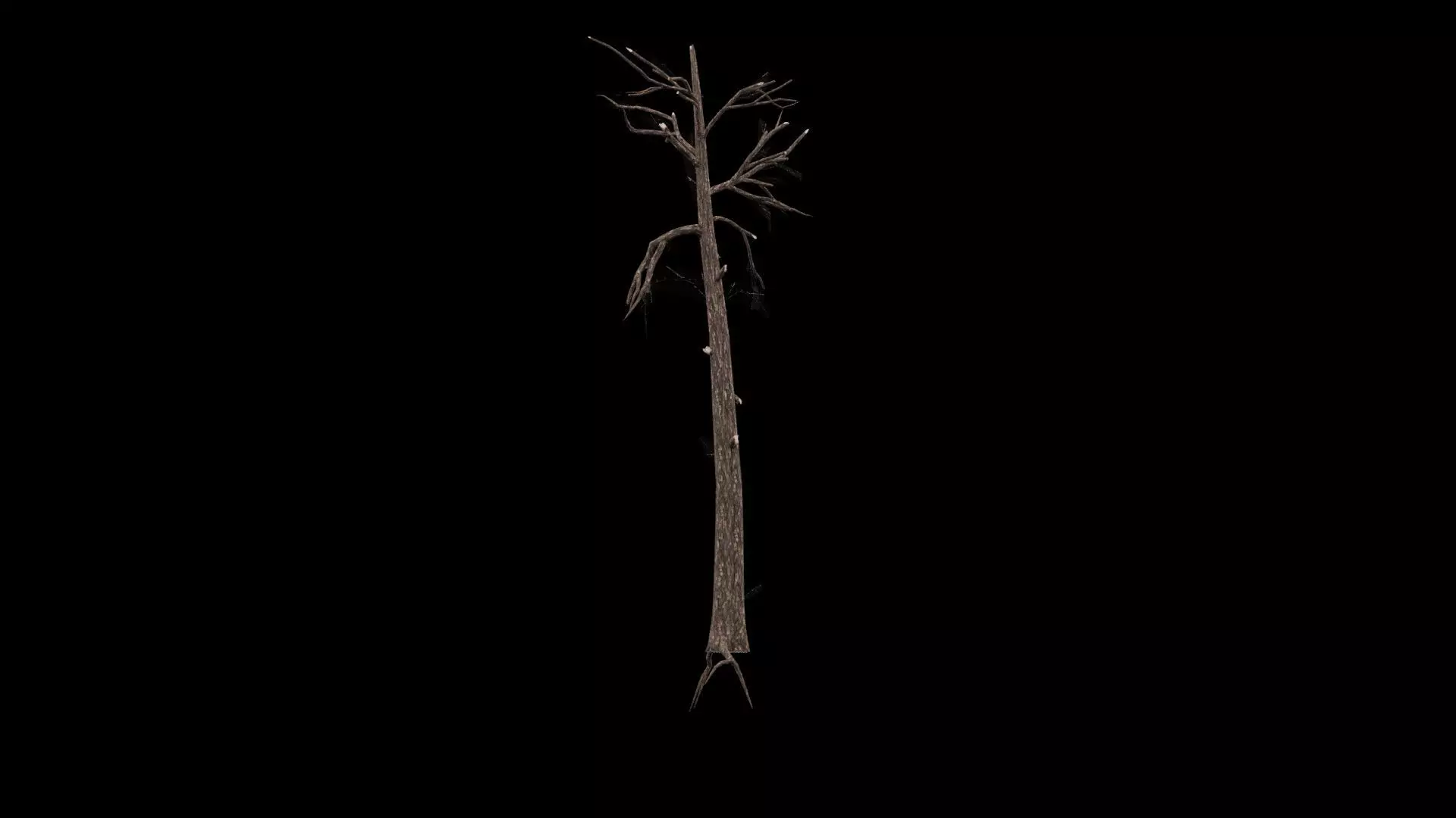 Realistic Tree Low-poly 3D model_5