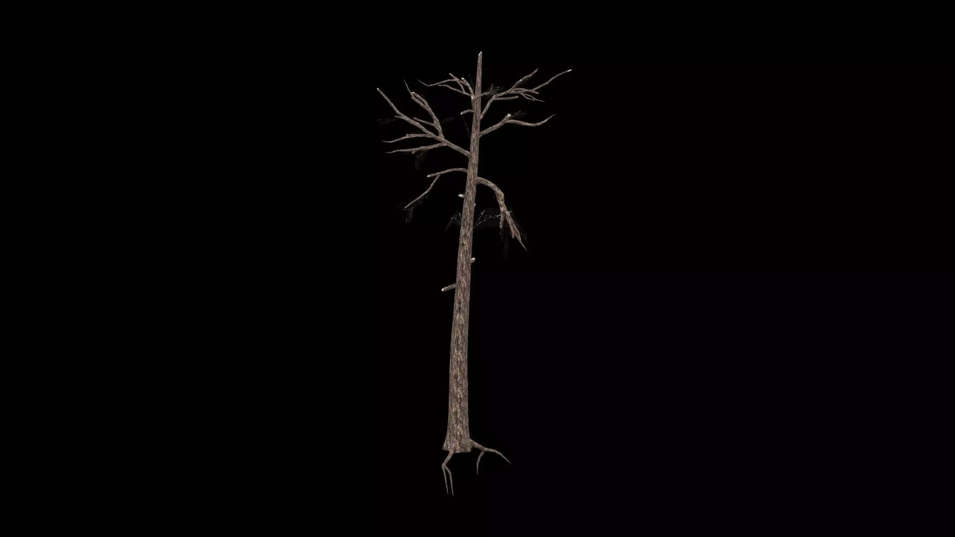 Realistic Tree Low-poly 3D model_3