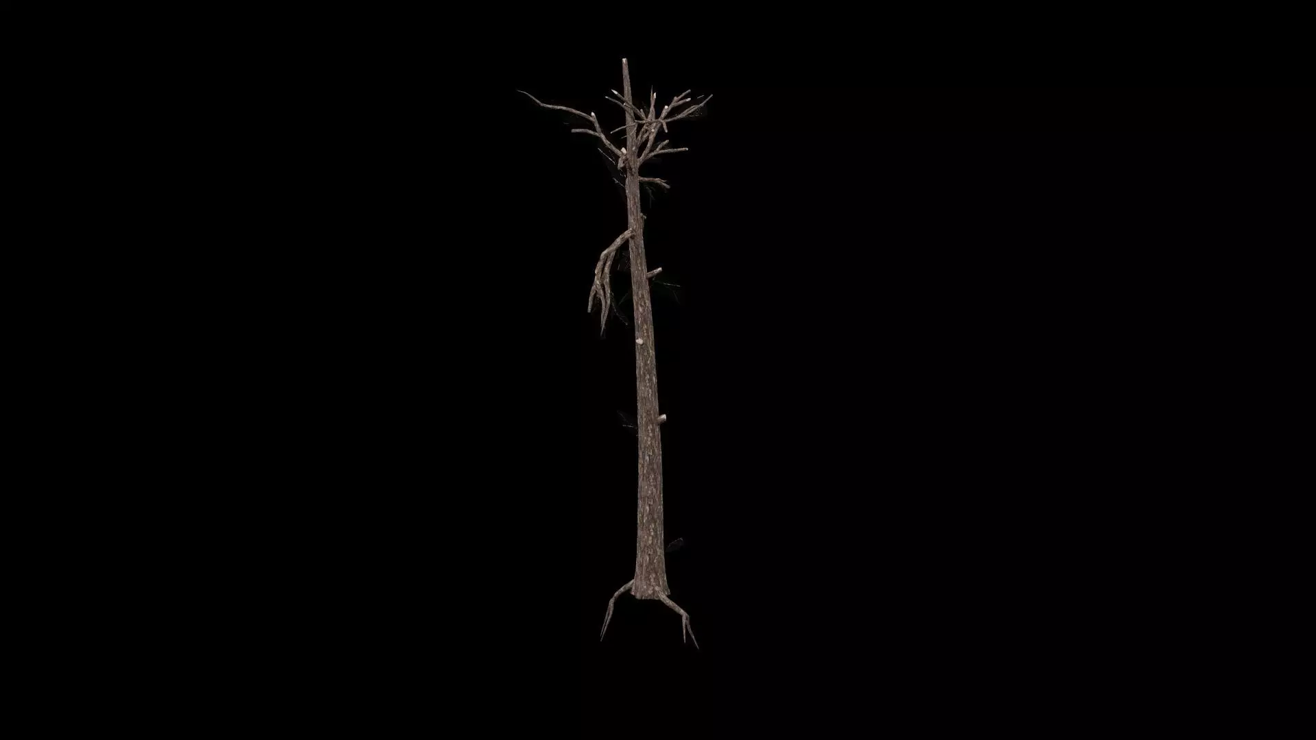 Realistic Tree Low-poly 3D model_1