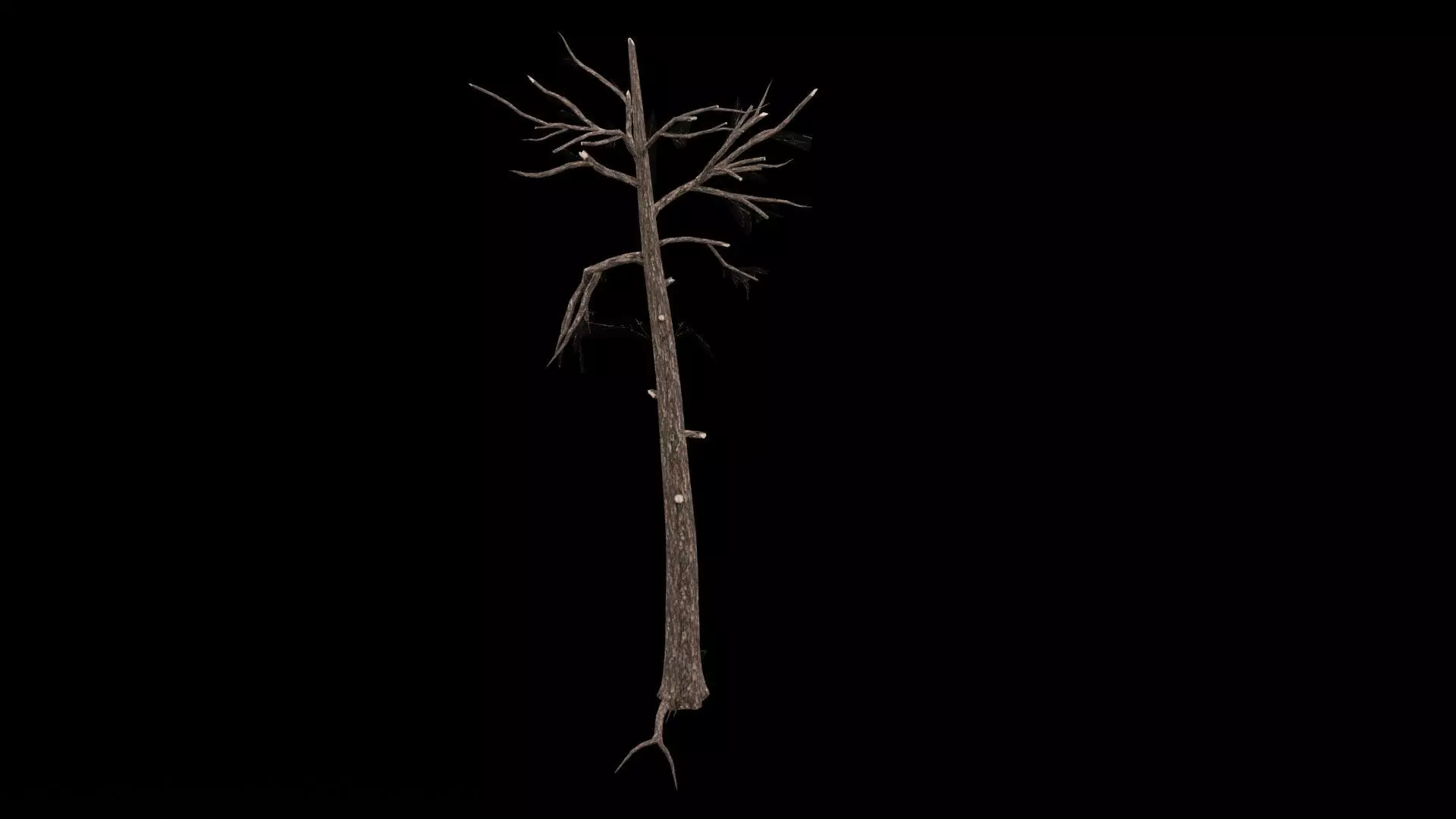 Realistic Tree Low-poly 3D model_0