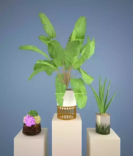 Vase Modern Flower Arrangement