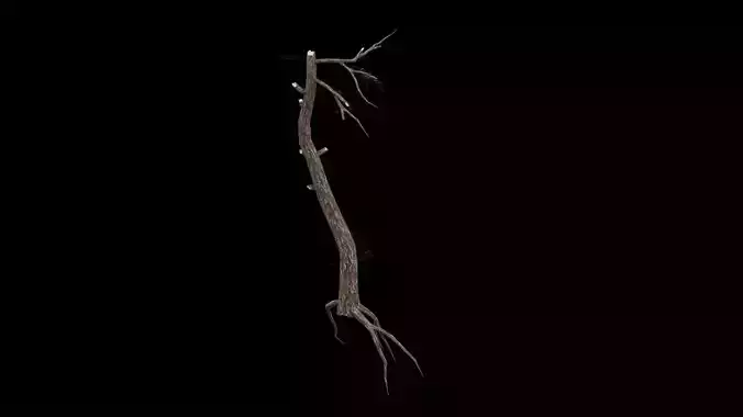 Realistic Snag Tree Low-poly 3D model