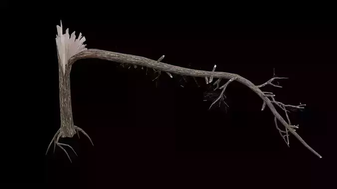 Realistic Snag Tree Low-poly 3D model