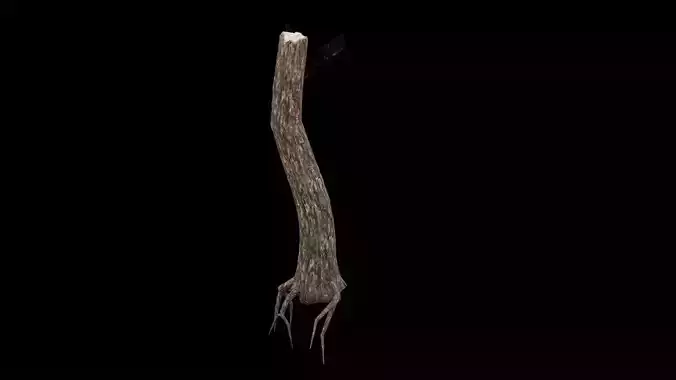 Realistic Snag Tree Low-poly 3D model