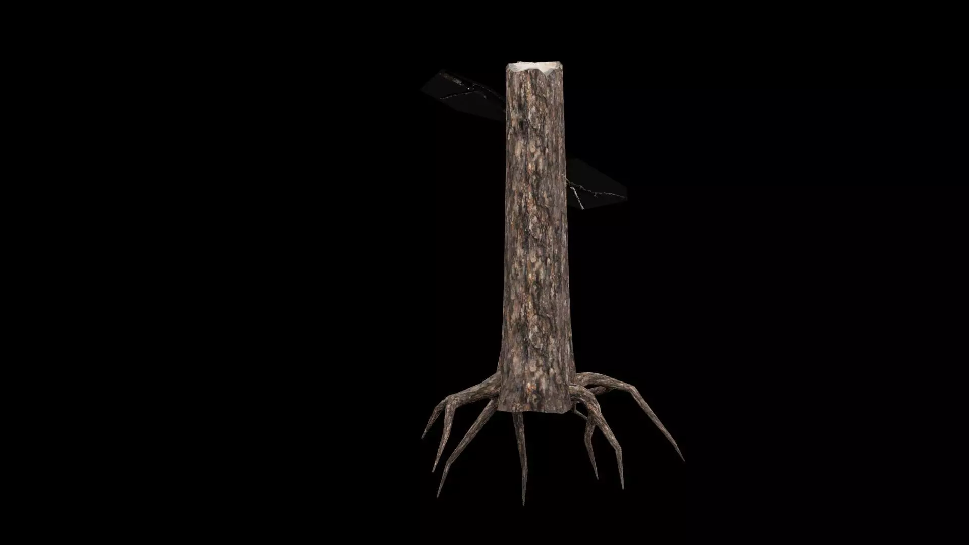 Realistic Snag Tree Low-poly 3D model_4