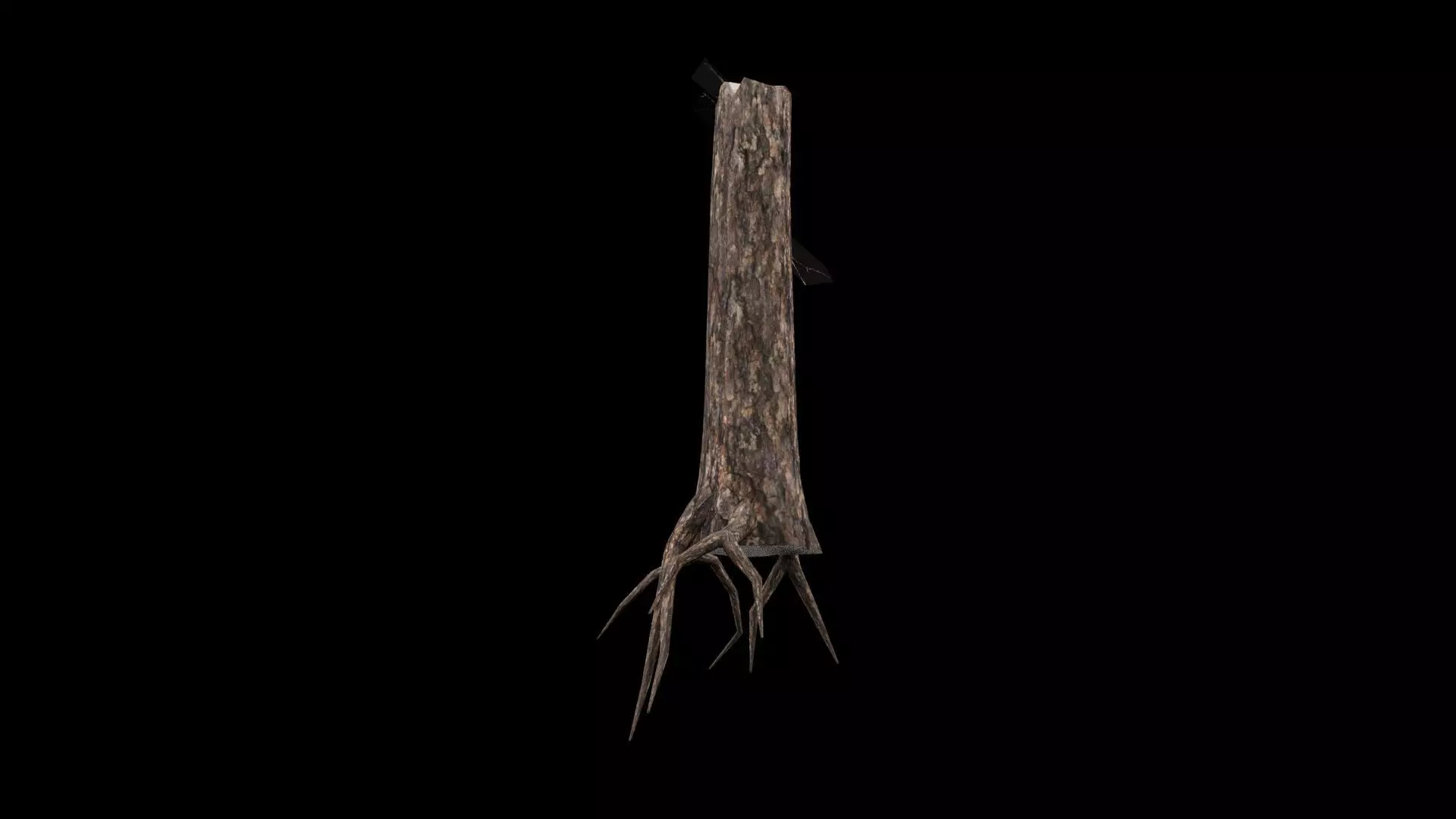 Realistic Snag Tree Low-poly 3D model_5