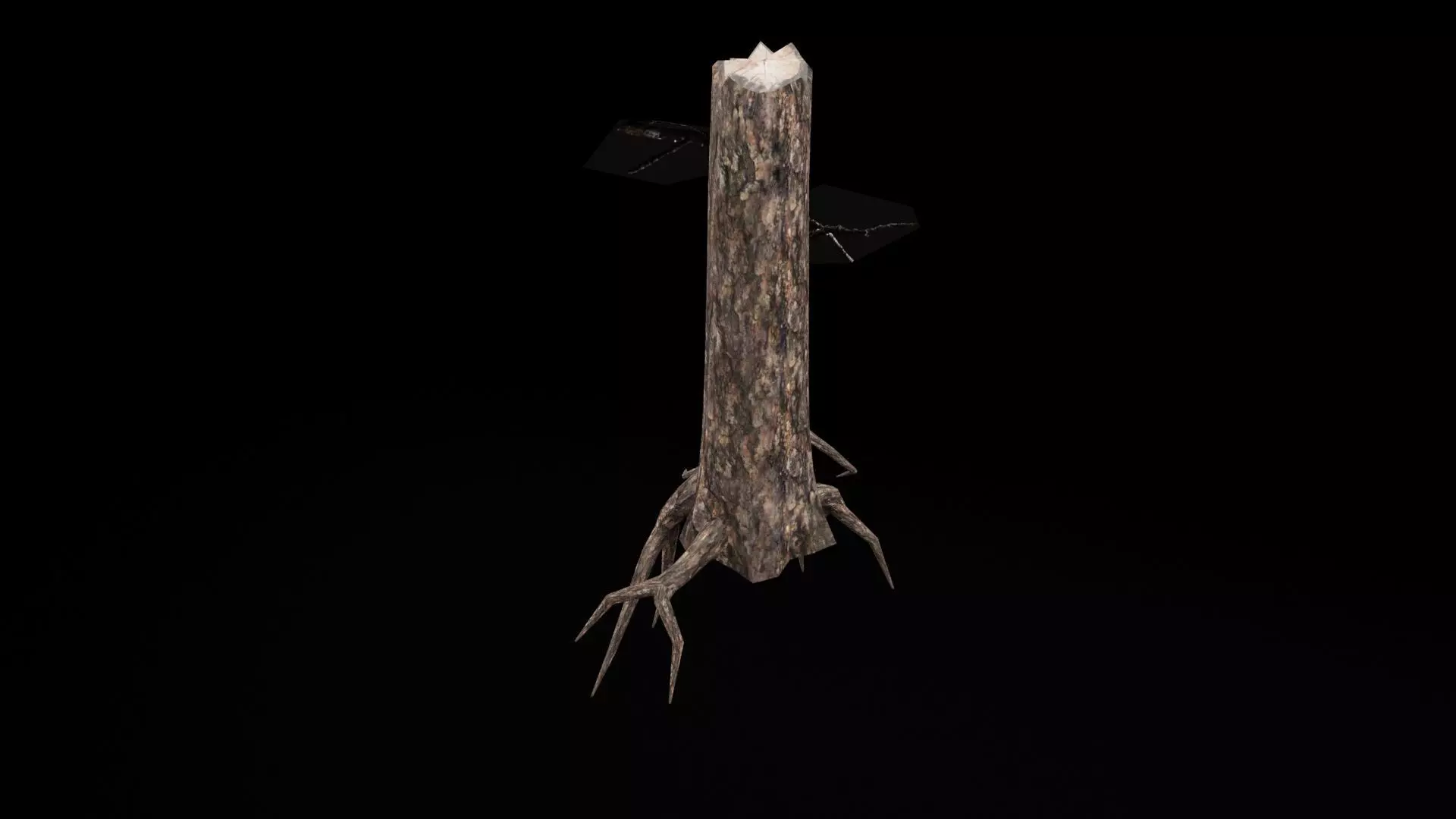 Realistic Snag Tree Low-poly 3D model_6