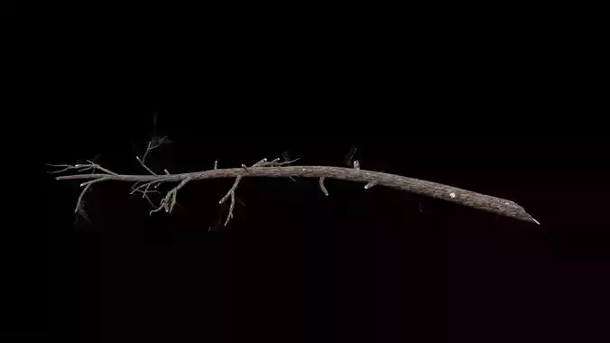 Realistic Tree Branch