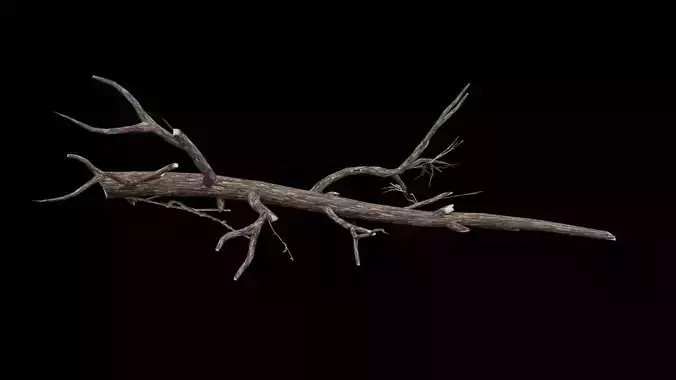 Realistic Tree Branch