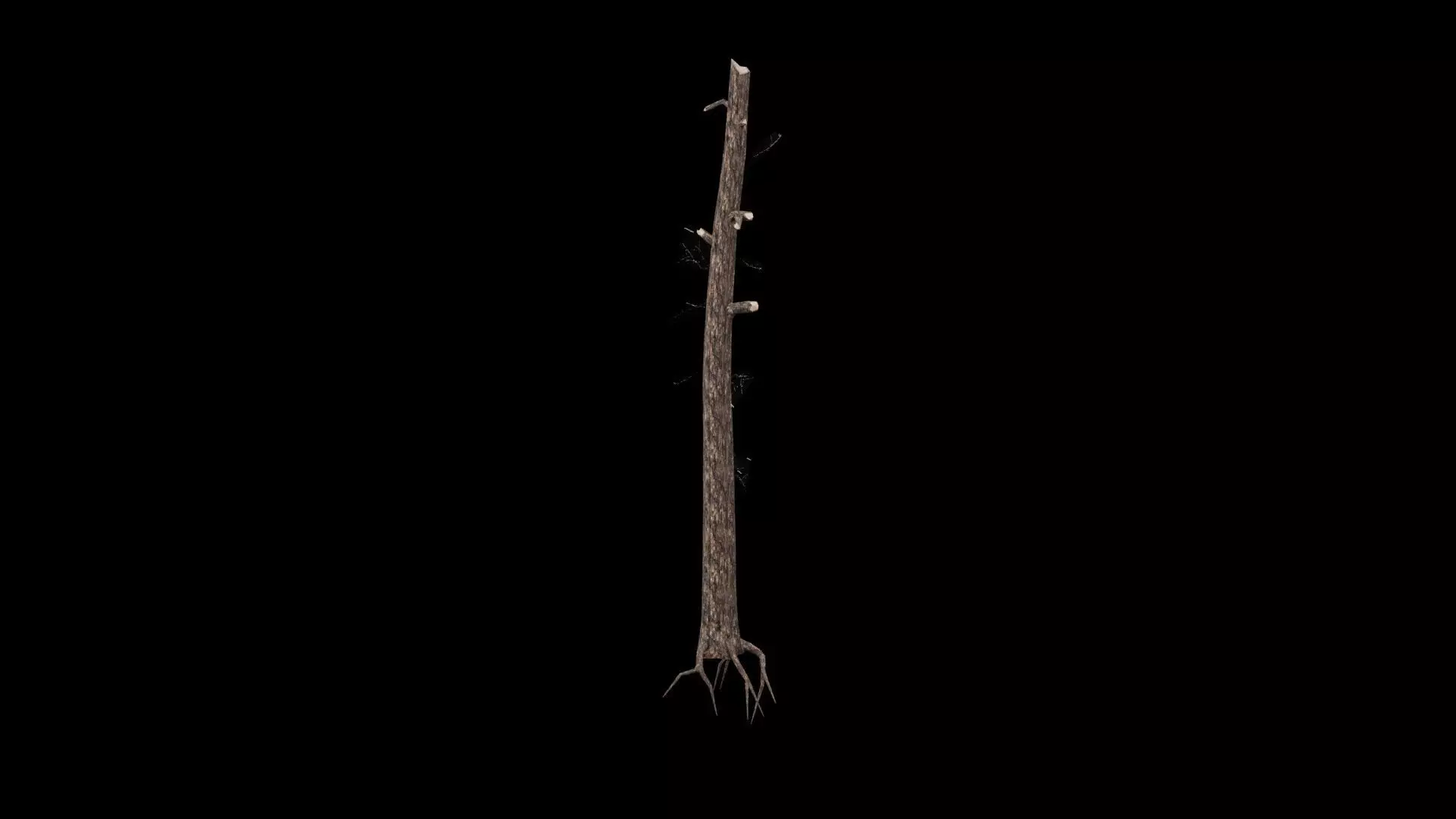 Realistic Snag Tree 3D model_1