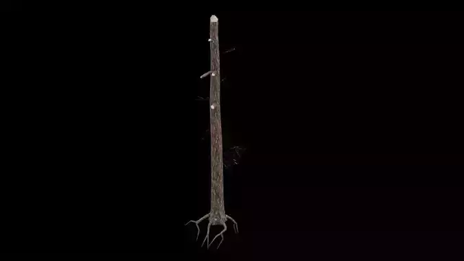 Realistic Snag Tree 3D model