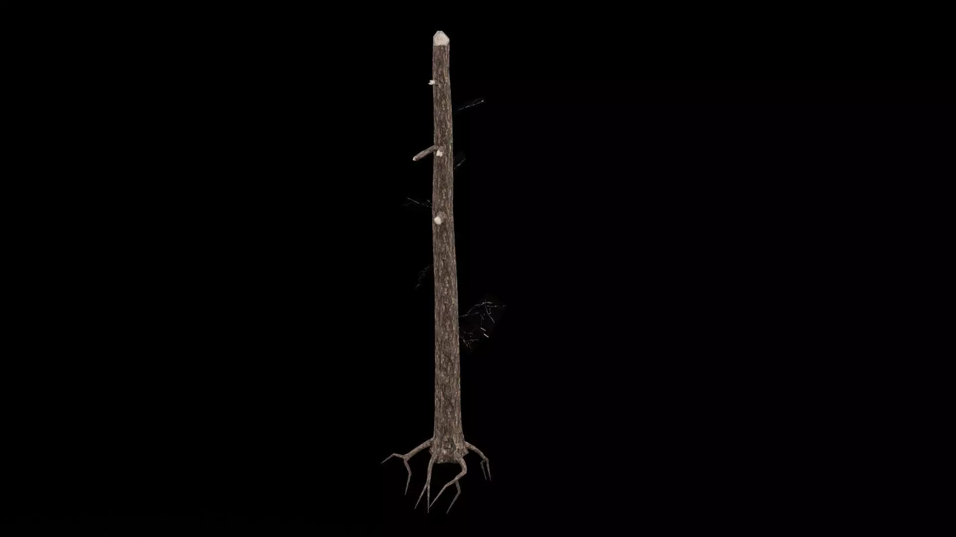Realistic Snag Tree 3D model_0