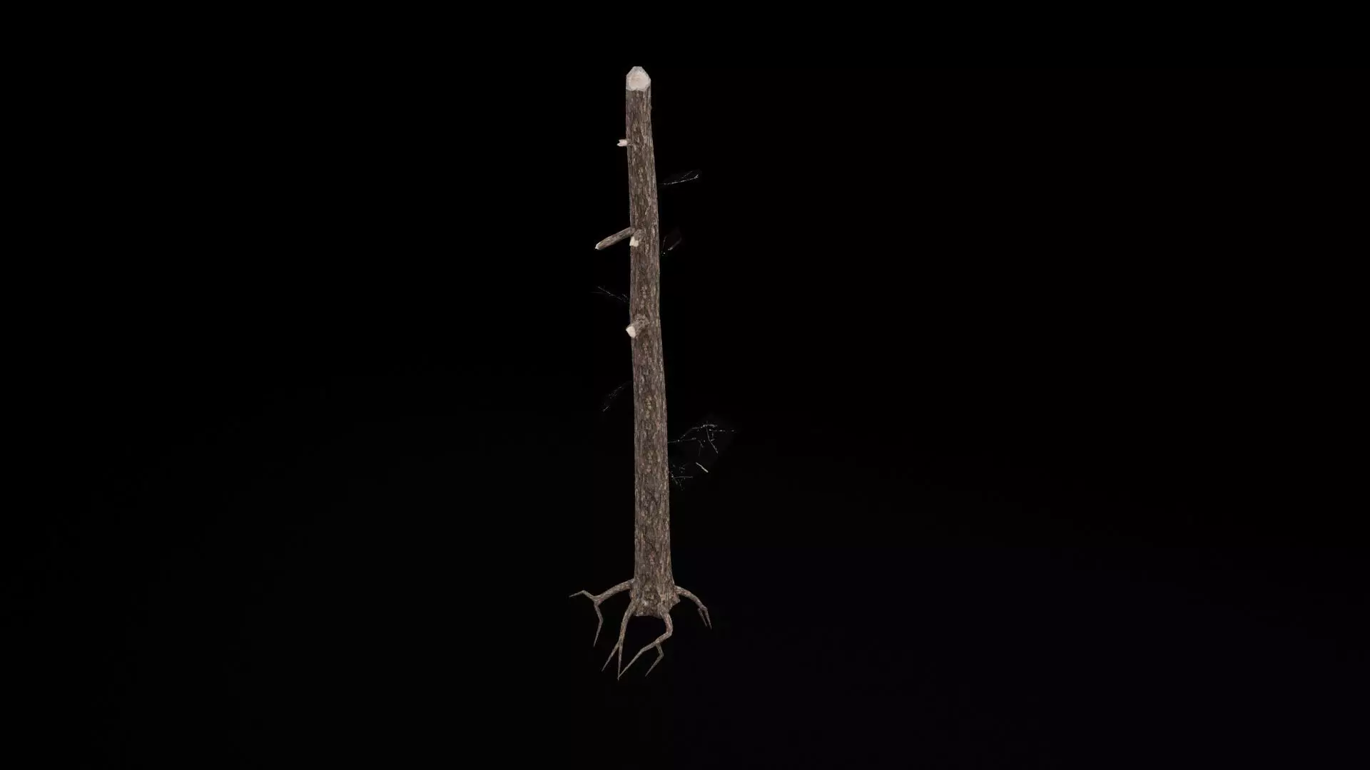 Realistic Snag Tree 3D model_6