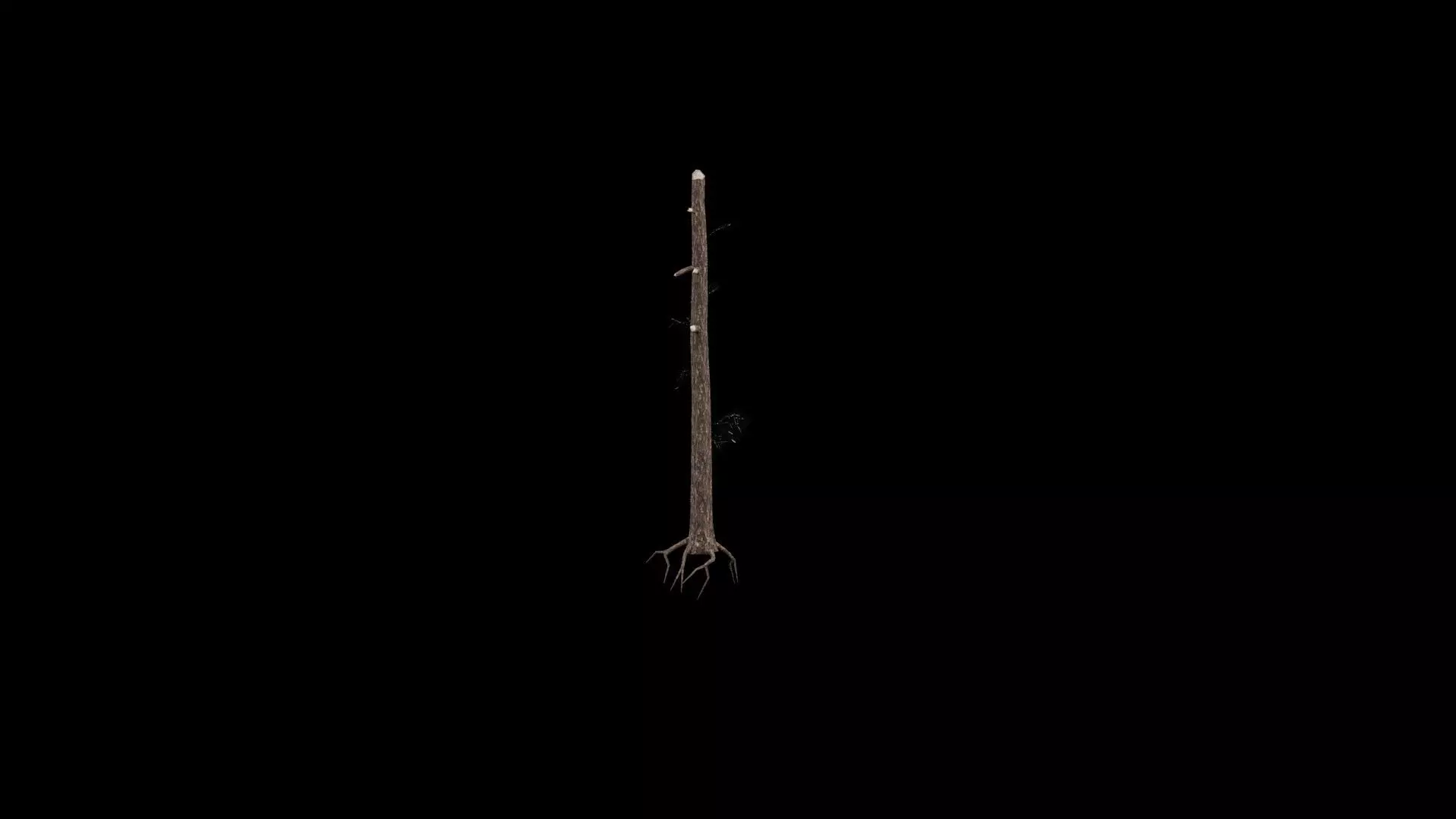 Realistic Snag Tree 3D model_2