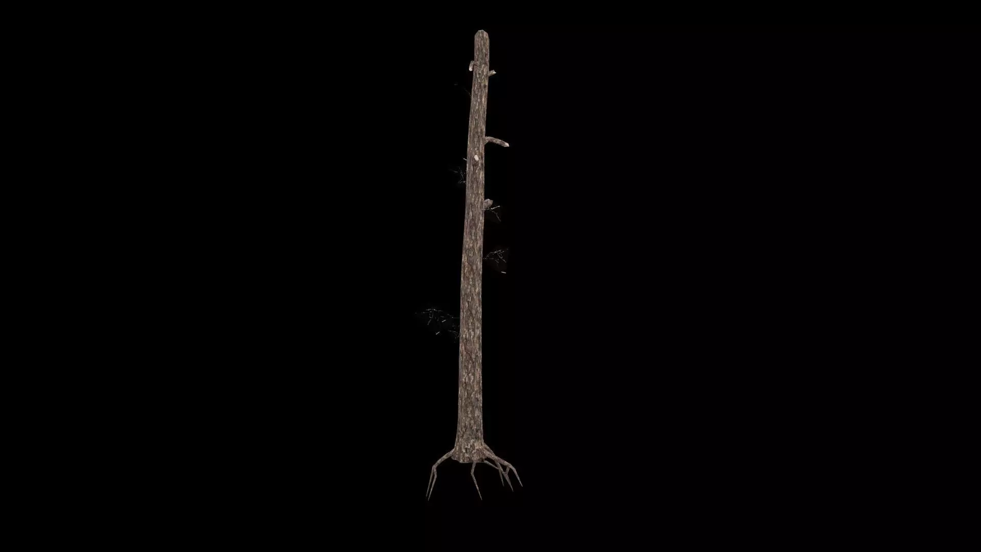 Realistic Snag Tree 3D model_3