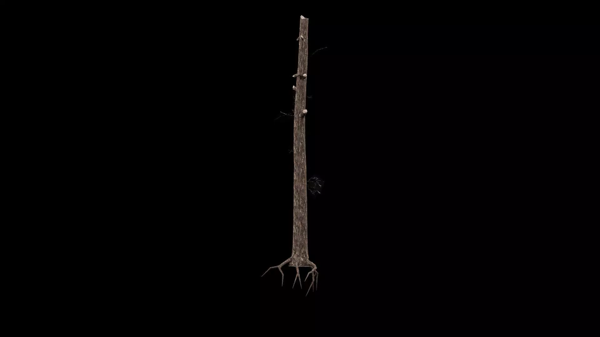 Realistic Snag Tree 3D model_5