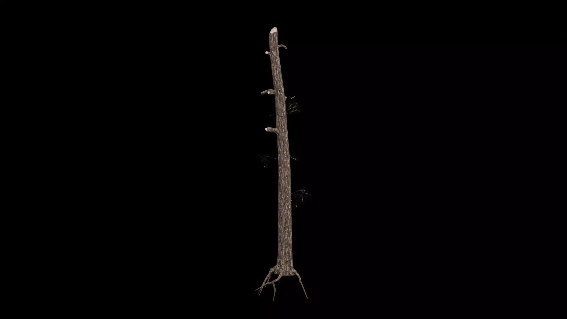 Realistic Snag Tree 3D model_4