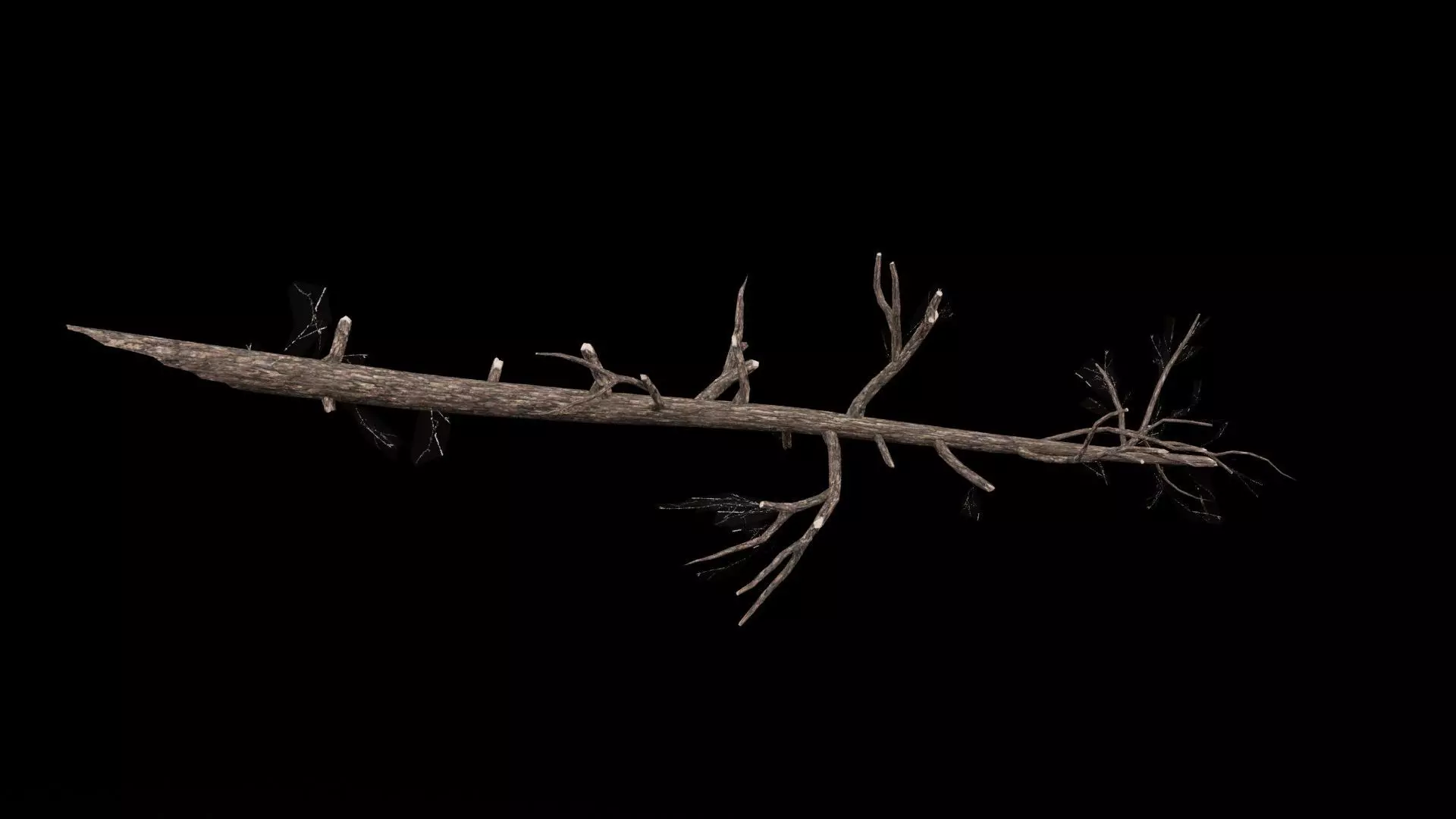 Realistic Tree Branch Low-poly 3D model_1