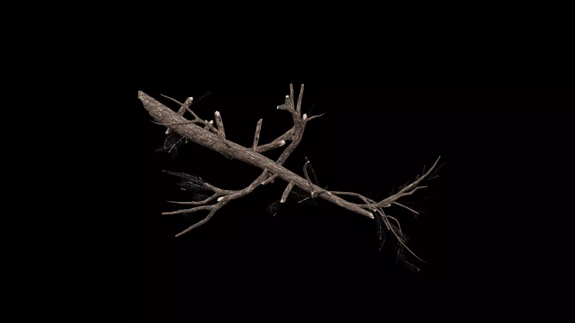 Realistic Tree Branch Low-poly 3D model_4