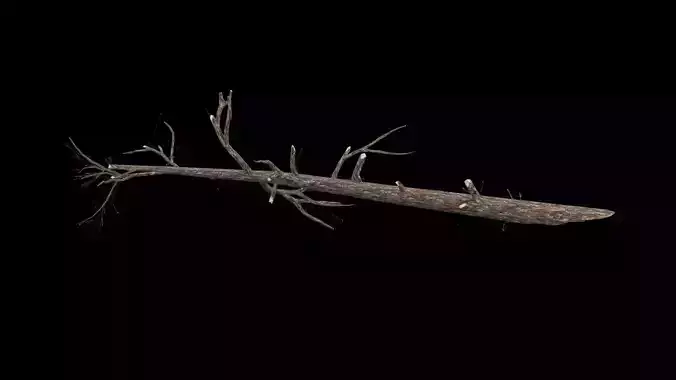 Realistic Tree Branch