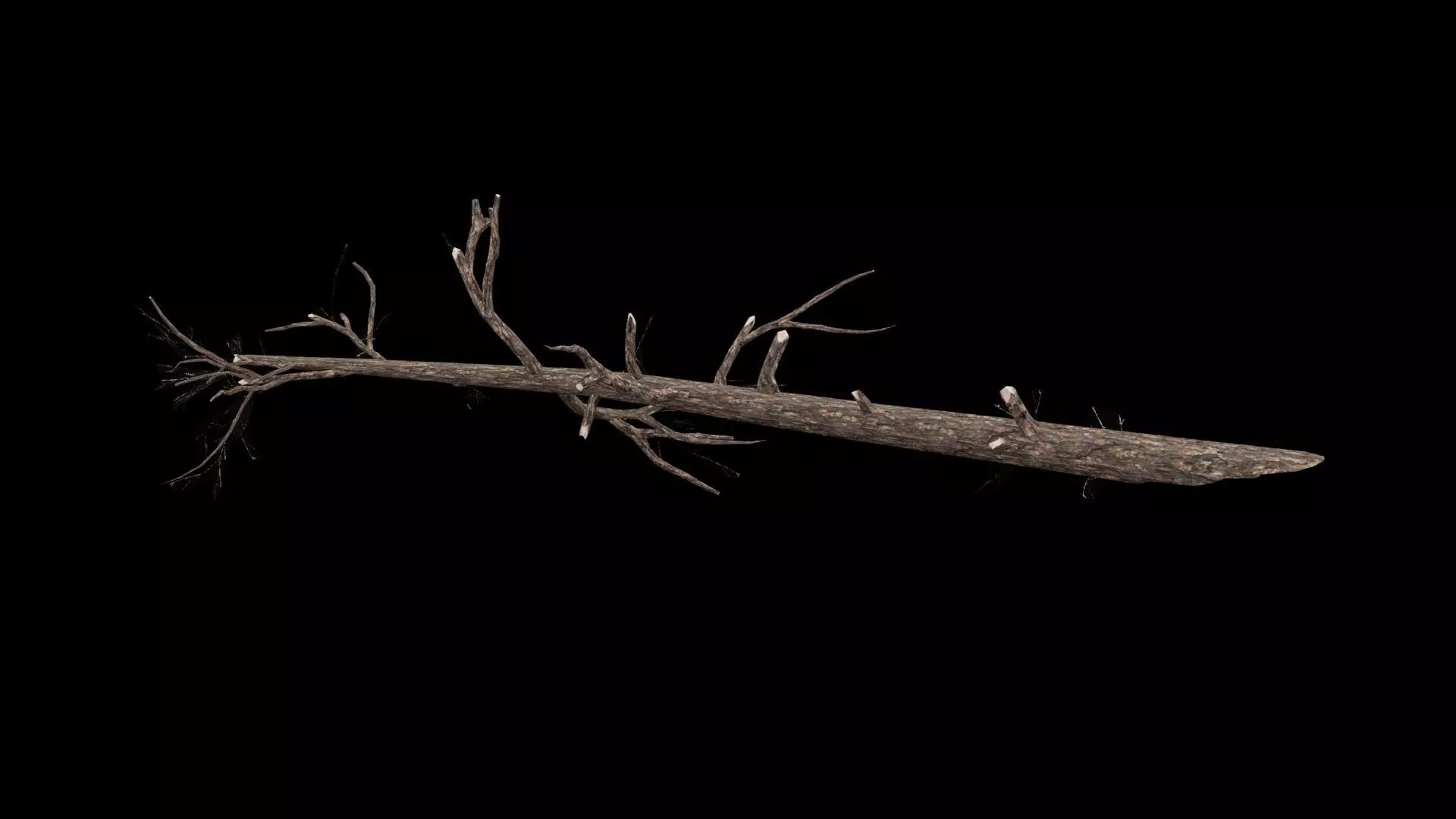 Realistic Tree Branch Low-poly 3D model_0