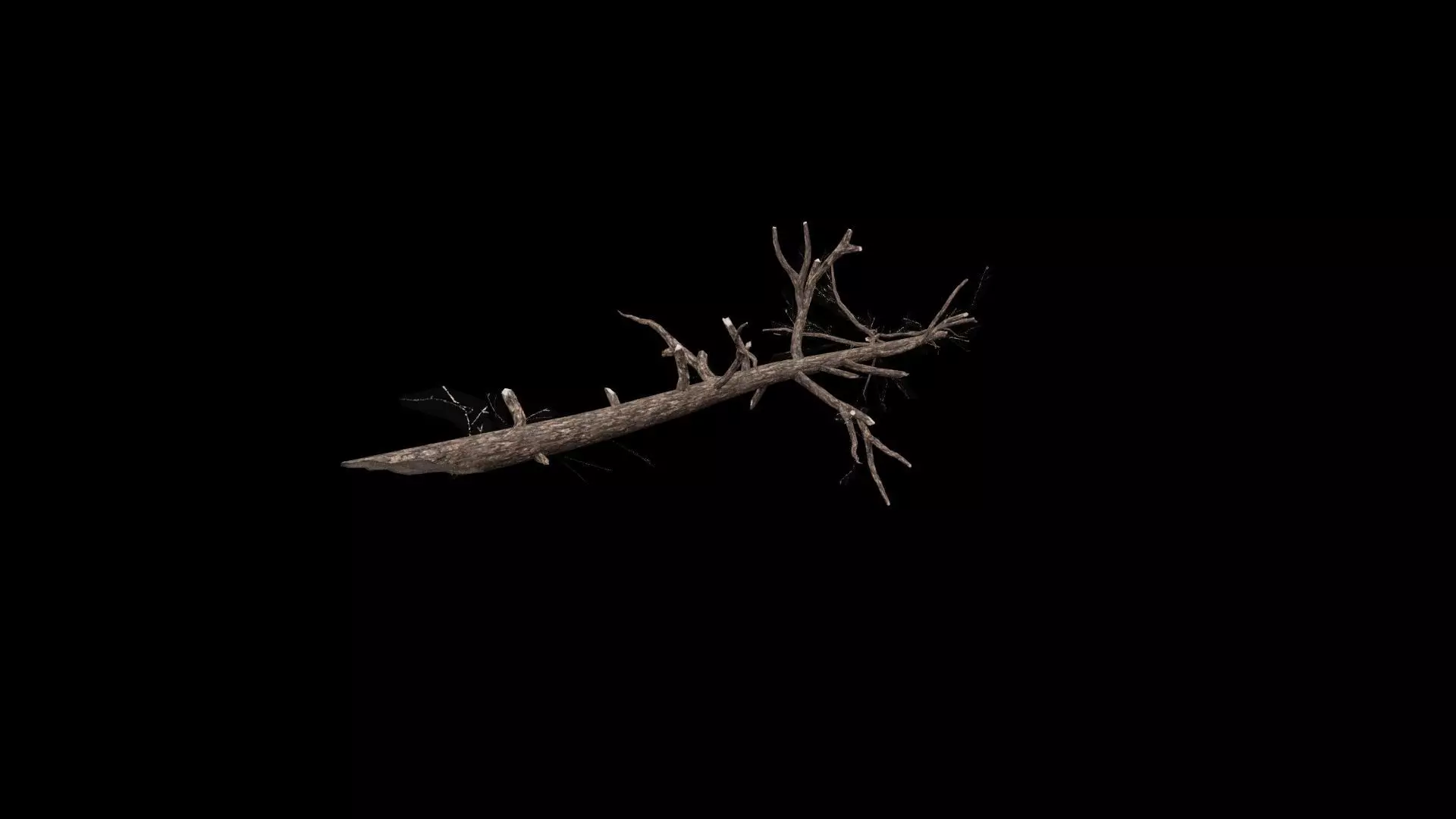 Realistic Tree Branch Low-poly 3D model_2